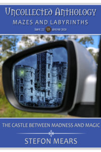 Book Cover: The Castle Between Madness and Magic