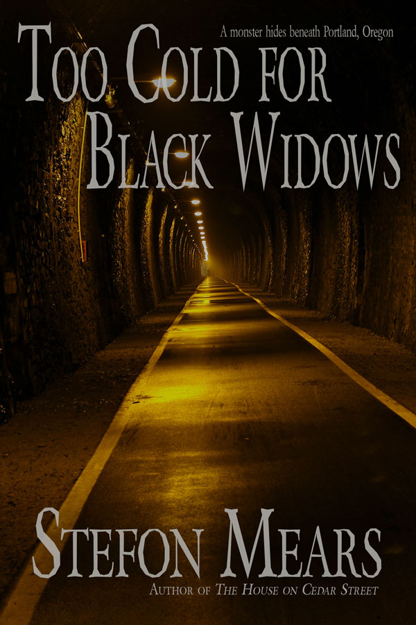 Book Cover: Too Cold for Black Widows